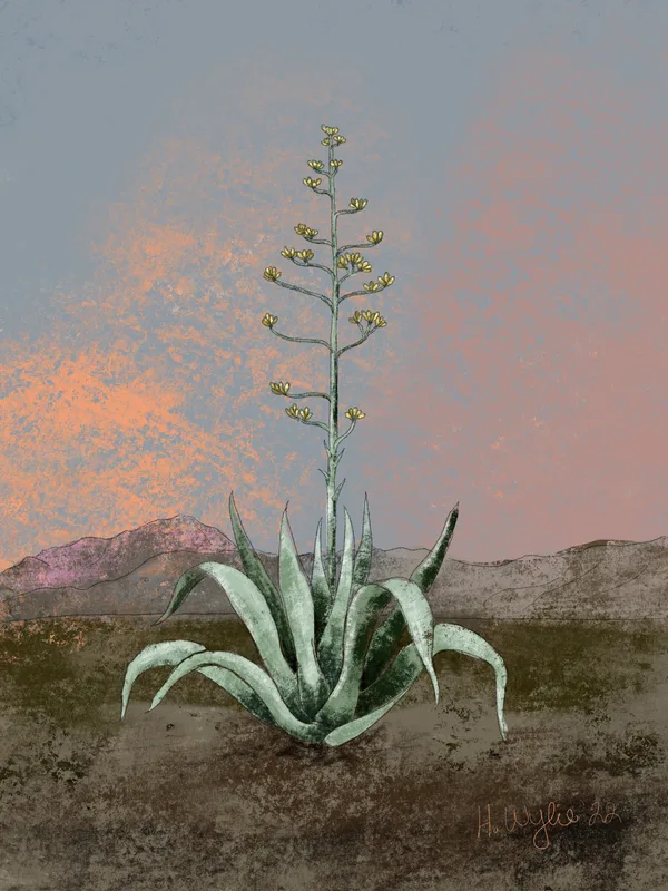 Artichoke Painting, H Wylie Art