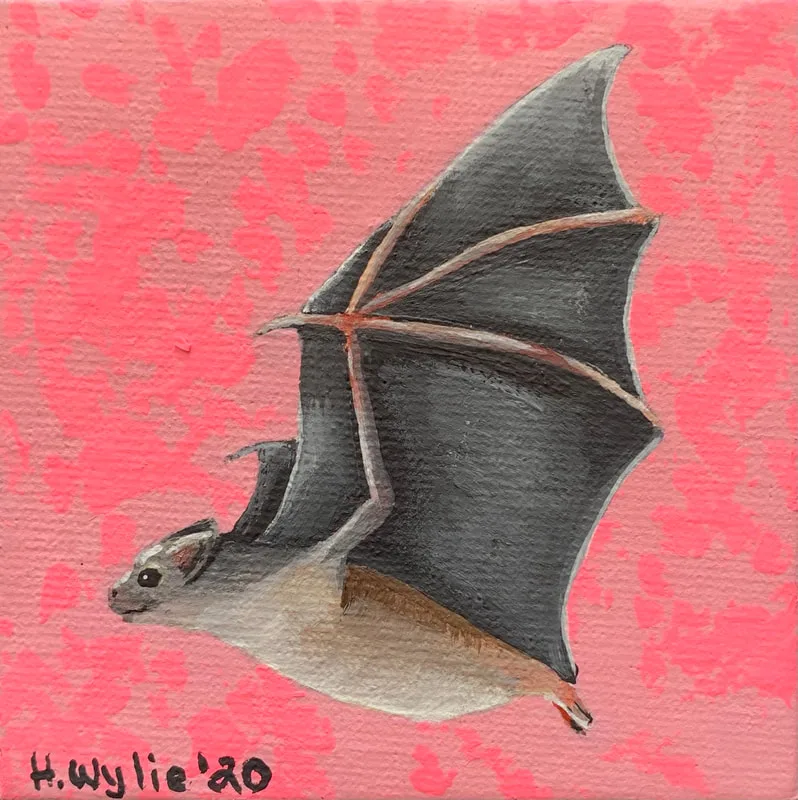 Bat & Heather Wylie, Bat & H. Wylie, H Wylie Art